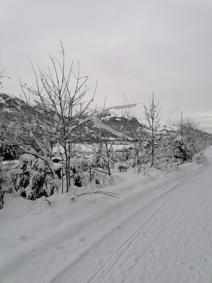 Ferienwohnungen Vordergriess Hochfilzen Bagian luar foto