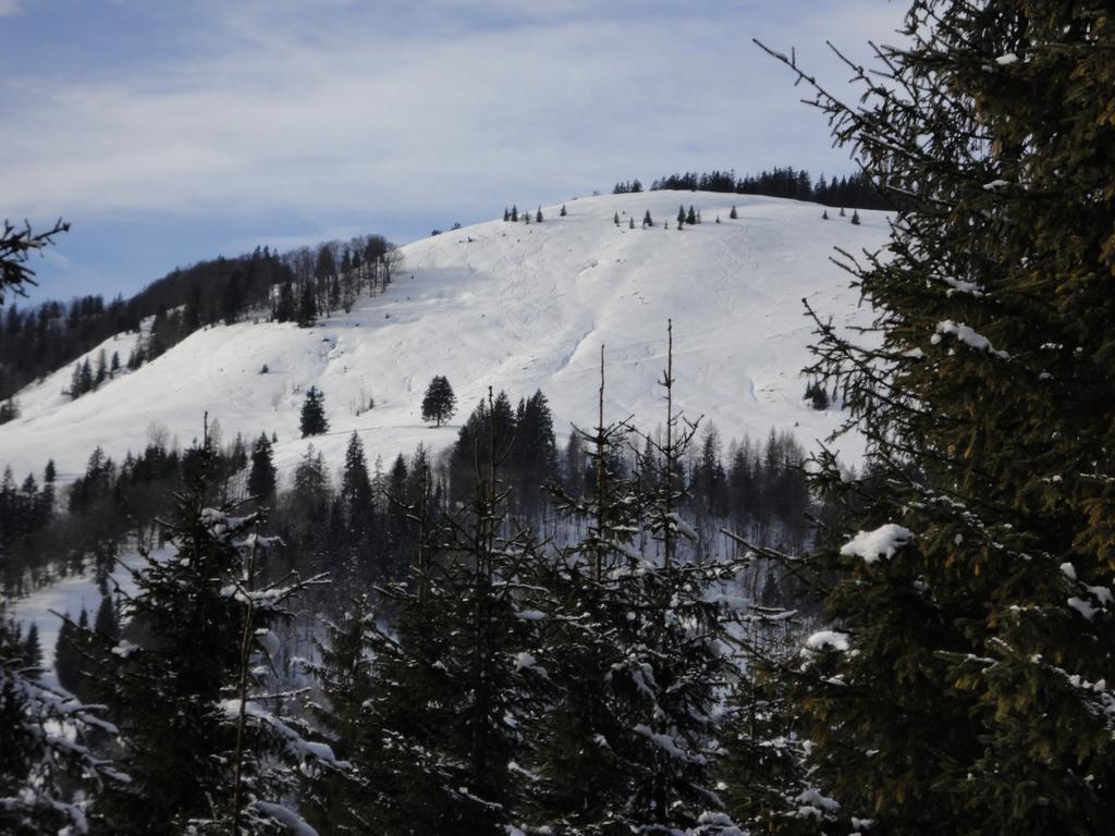 Ferienwohnungen Vordergriess Hochfilzen Bagian luar foto