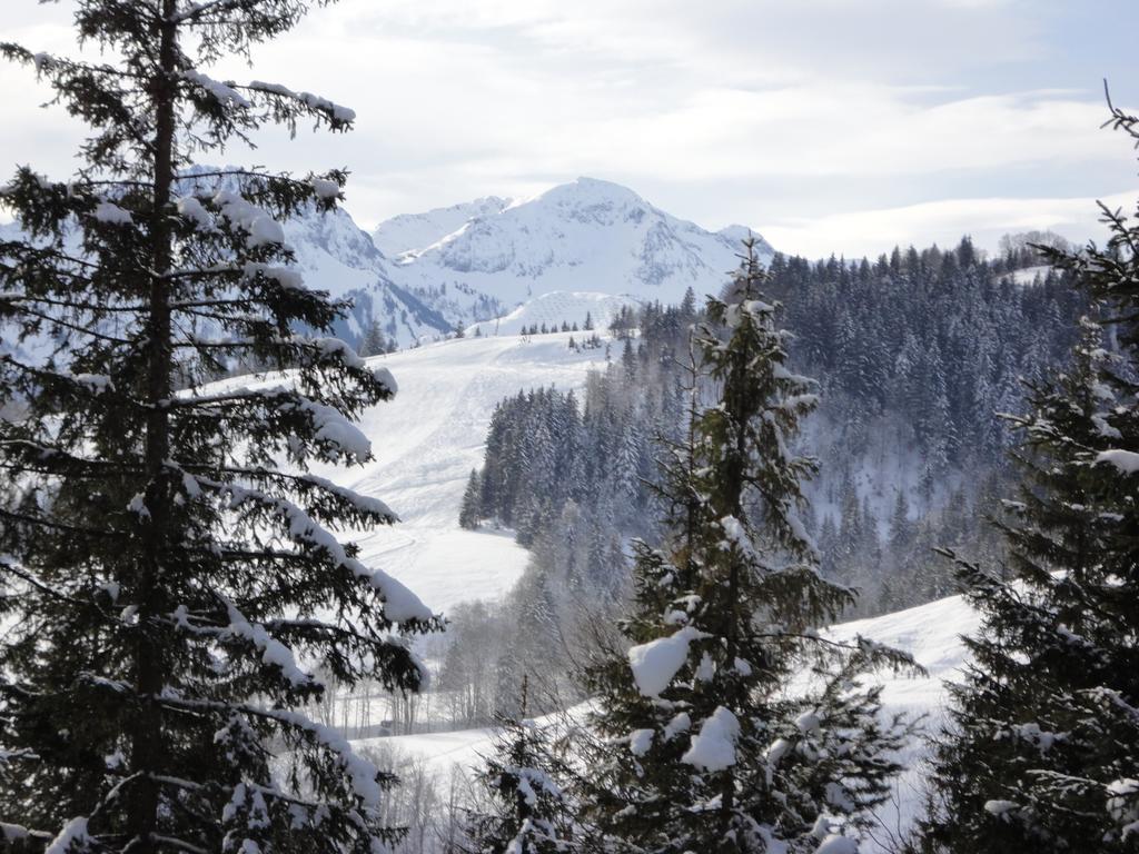 Ferienwohnungen Vordergriess Hochfilzen Bagian luar foto