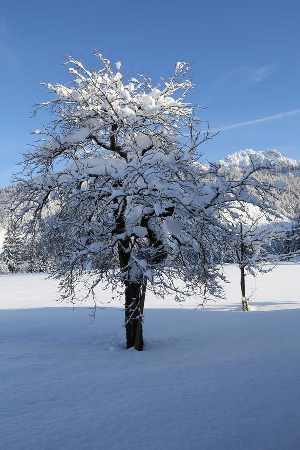 Ferienwohnungen Vordergriess Hochfilzen Bagian luar foto