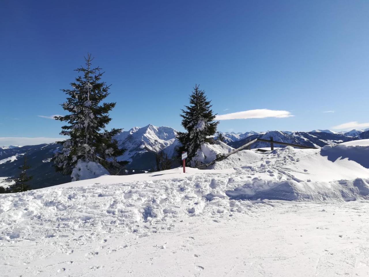 Ferienwohnungen Vordergriess Hochfilzen Bagian luar foto